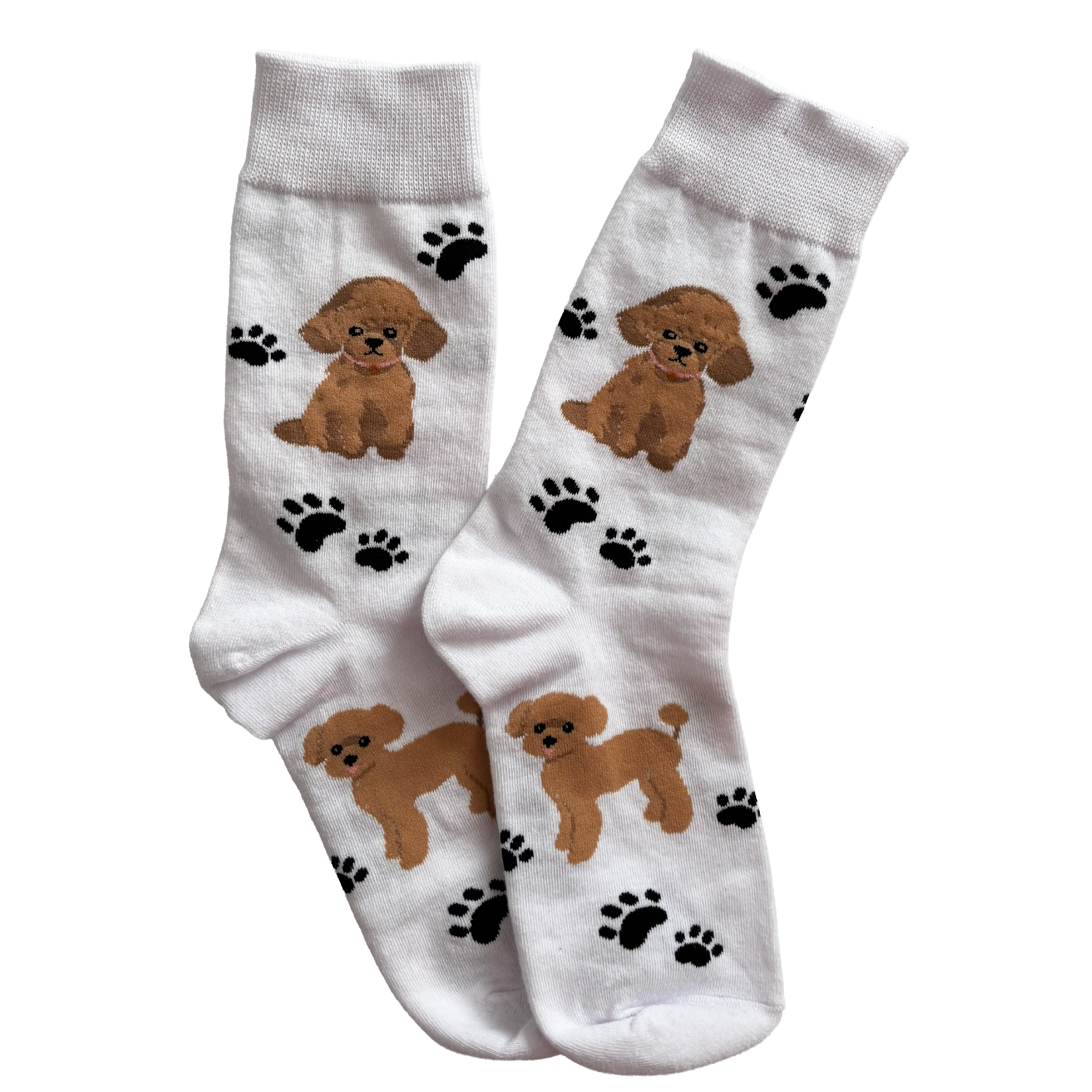 Calcetines Largos de Perro Caniche