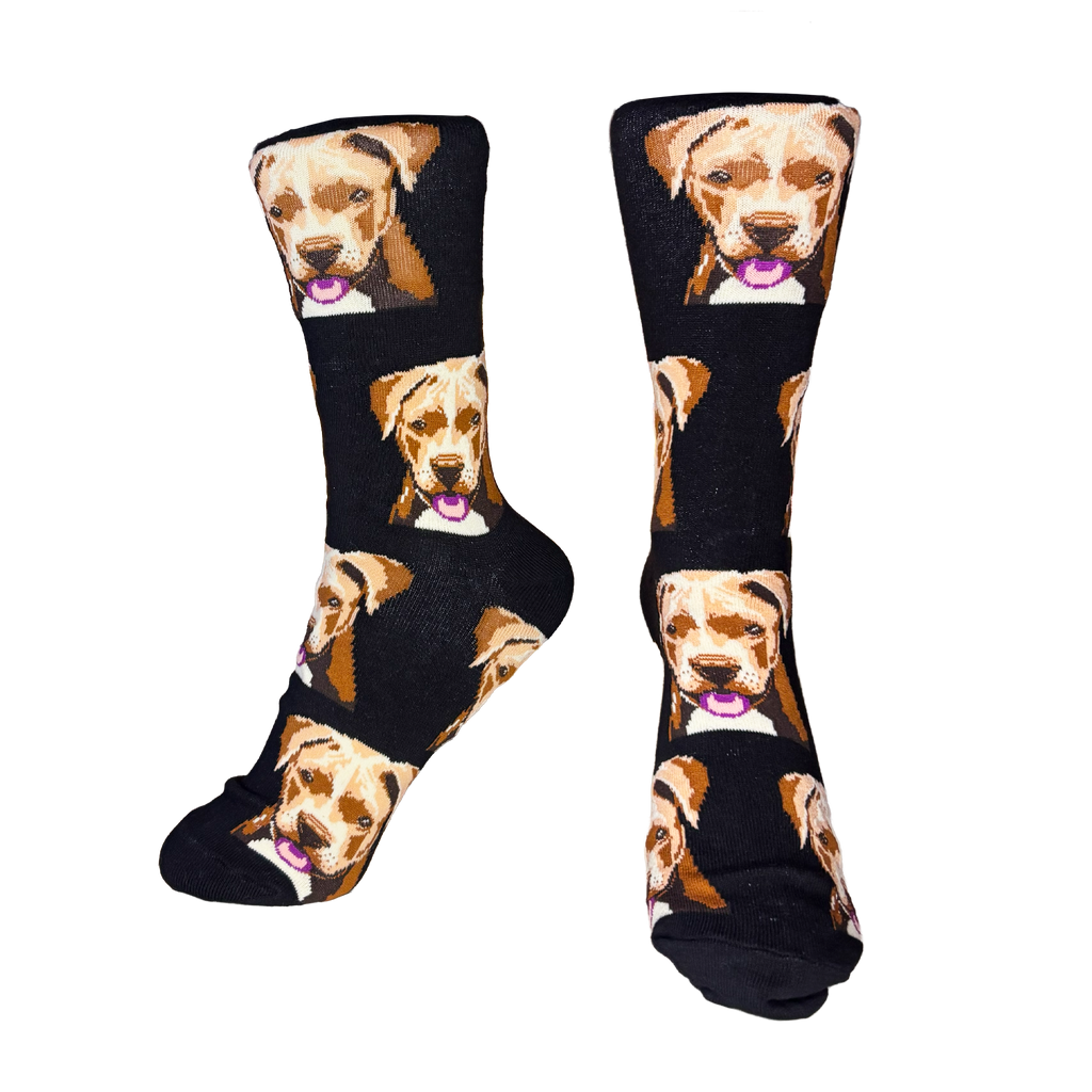Calcetines Largos de Perro tipo Pitbull Terrier