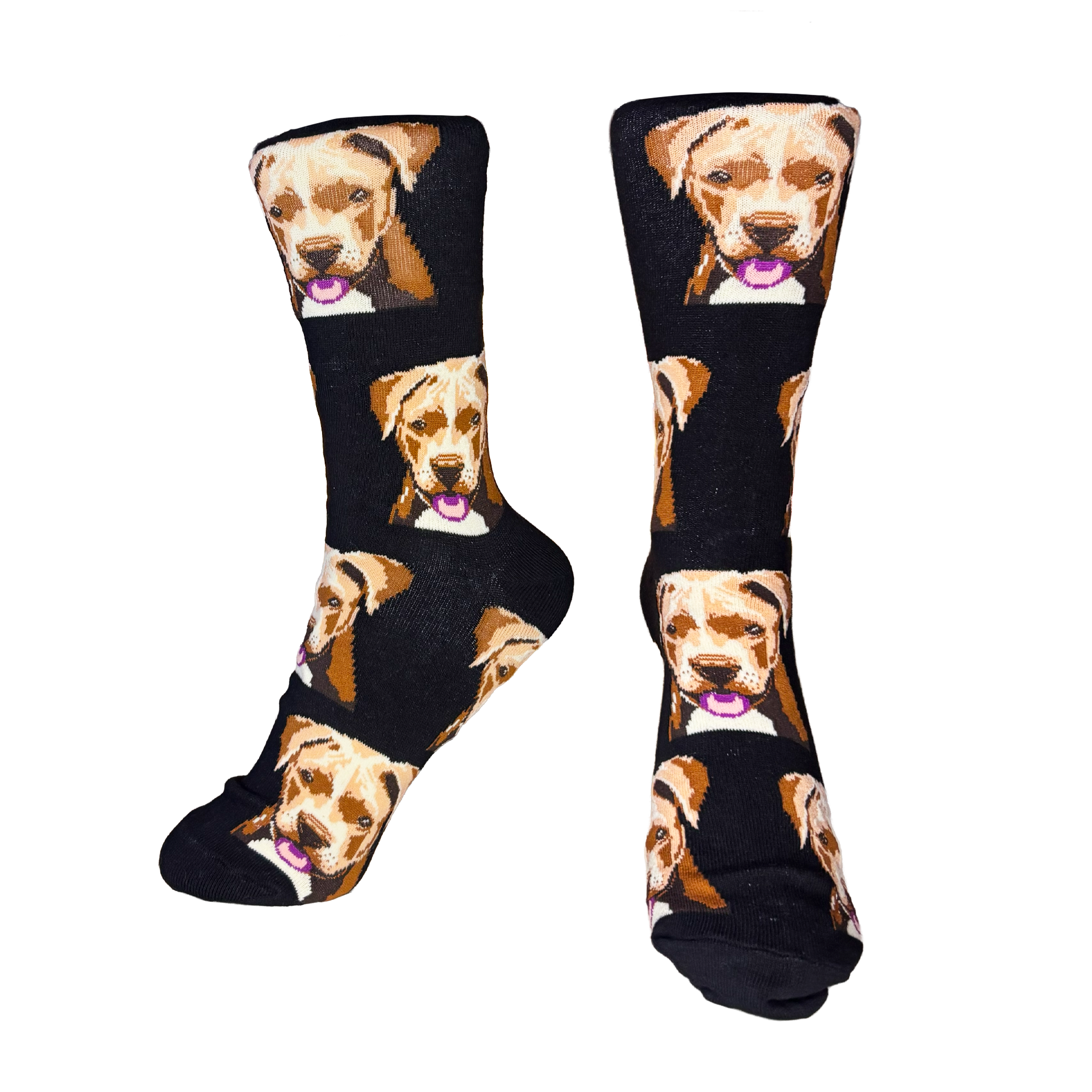 Calcetines Largos de Perro tipo Pitbull Terrier