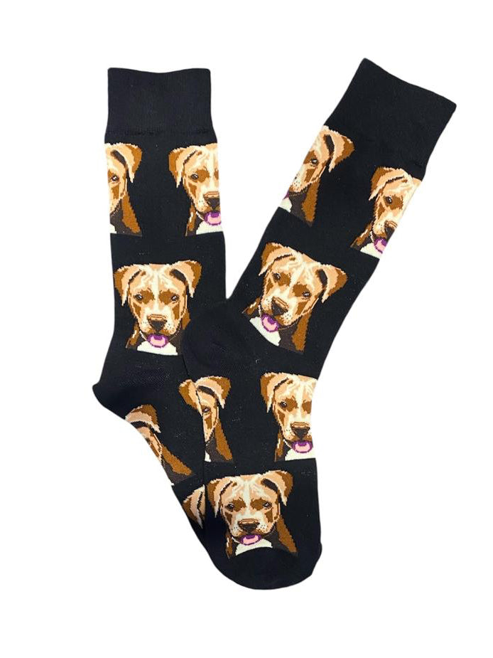 Calcetines Largos de Perro tipo Pitbull Terrier