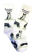 Calcetines Largos de Perro Border Collie