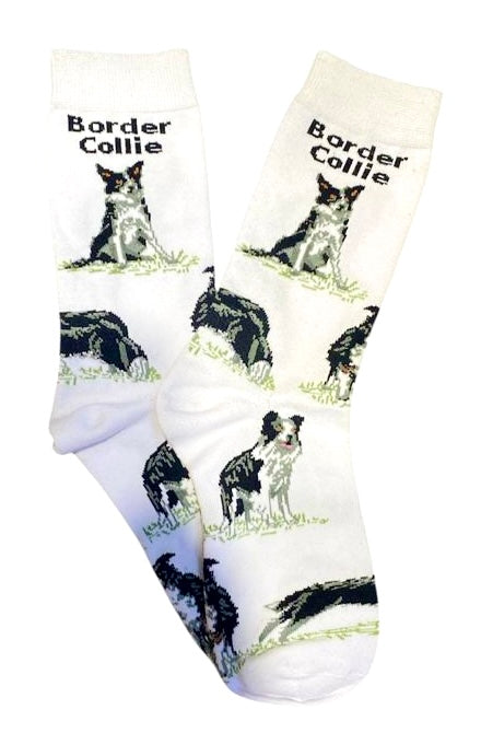 Calcetines Largos de Perro Border Collie